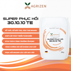 SUPER PHỤC HỒI 30.10.10+TE (20KG)