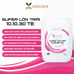 SUPER LỚN TRÁI 10.10.30+TE (20KG)