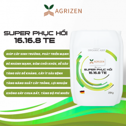 SUPER PHỤC HỒI 16.16.8+TE (20KG)