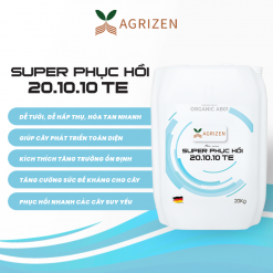 SUPER PHỤC HỒI 20.10.10+TE (20KG)