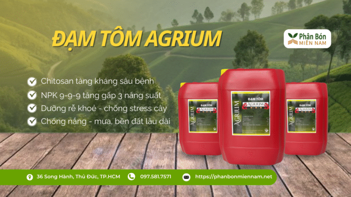 ĐẠM TÔM AGRIUM