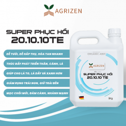 SUPER PHỤC HỒI 20.10.10+TE (5KG)