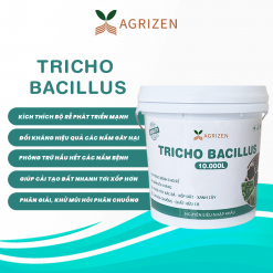 TRICHO BACILLUS (10KG)