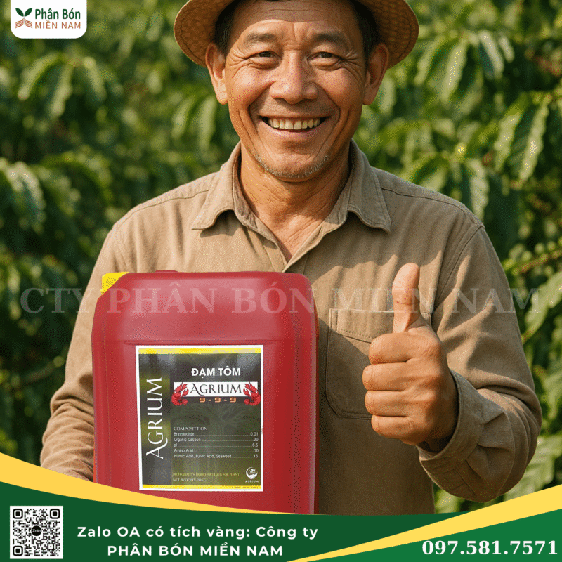 Năng suất cà phê tăng kỉ lục