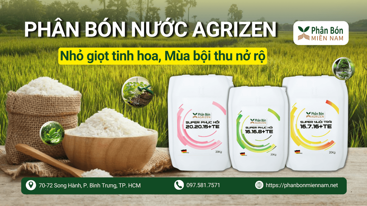 Phân bón nước Agrizen – Giọt nhỏ tinh hoa, mùa bội thu nở rộ