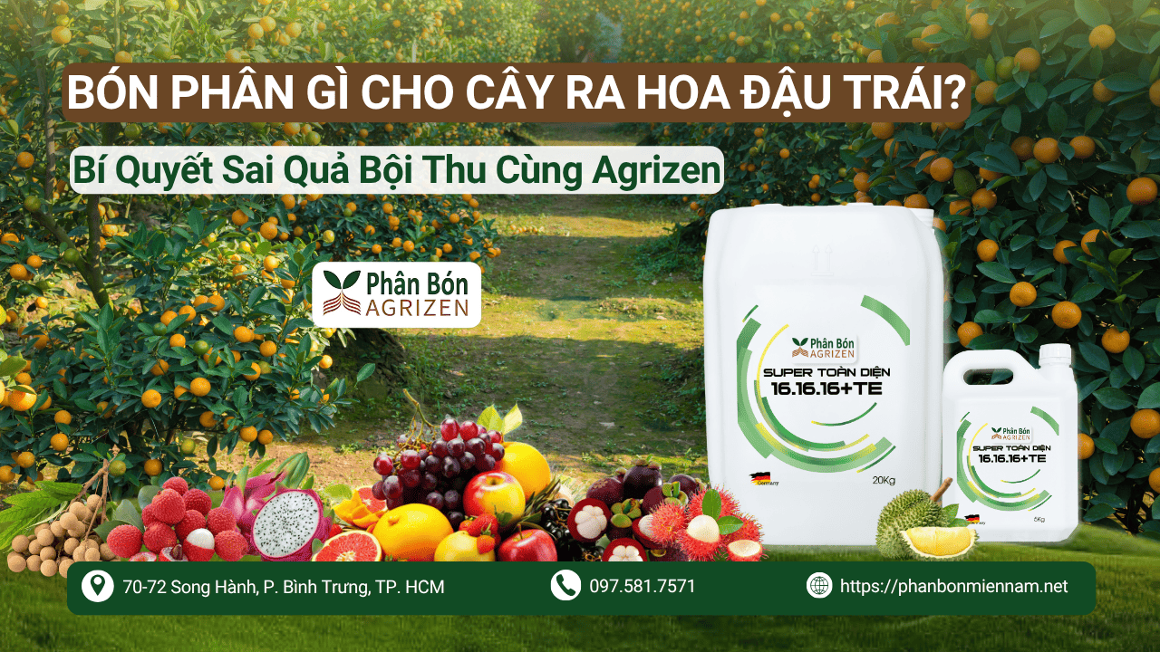 Bón Phân Gì Cho Cây Ra Hoa Đậu Trái_ Bí Quyết Sai Quả Bội Thu Cùng Agrizen