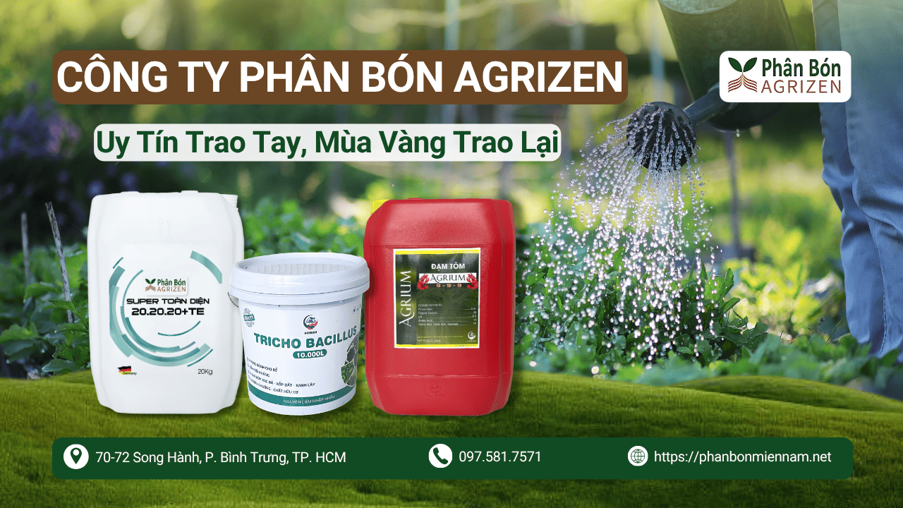 Công Ty Phân Bón Agrizen – Uy Tín Trao Tay, Mùa Vàng Trao Lại