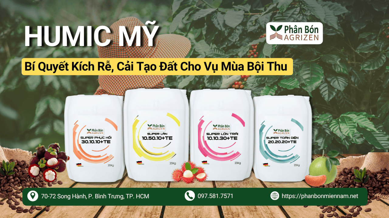 Humic Mỹ – Bí Quyết Kích Rễ, Cải Tạo Đất Cho Vụ Mùa Bội Thu