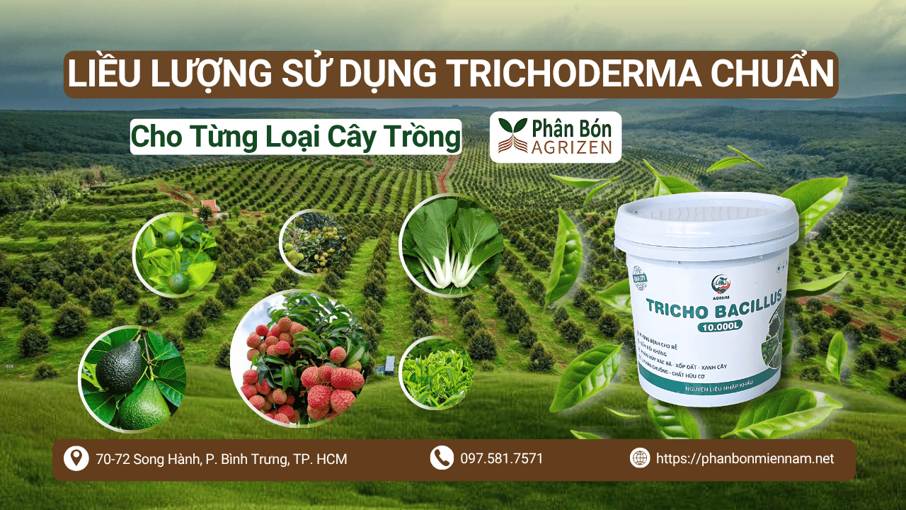 Liều Lượng Sử Dụng Trichoderma Chuẩn Từ Agrizen Cho Từng Loại Cây Trồng