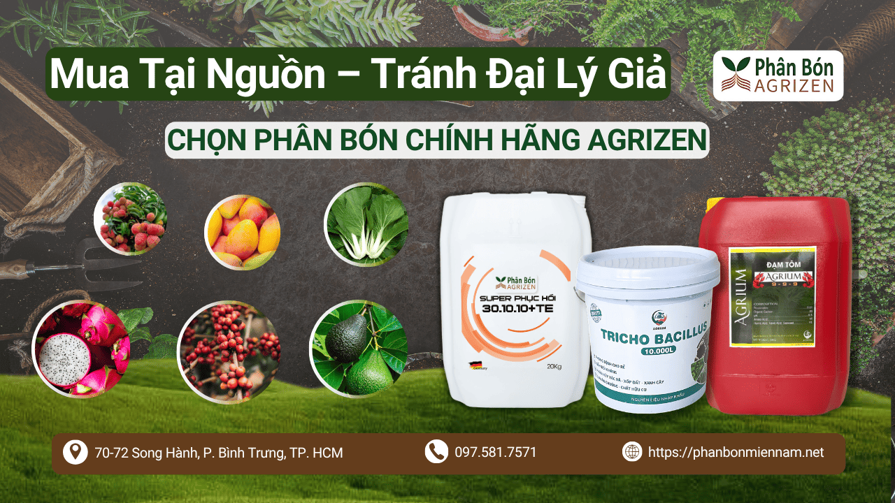 Mua Tại Nguồn – Tránh Đại Lý Giả_ Chọn Phân Bón Chính Hãng Agrizen