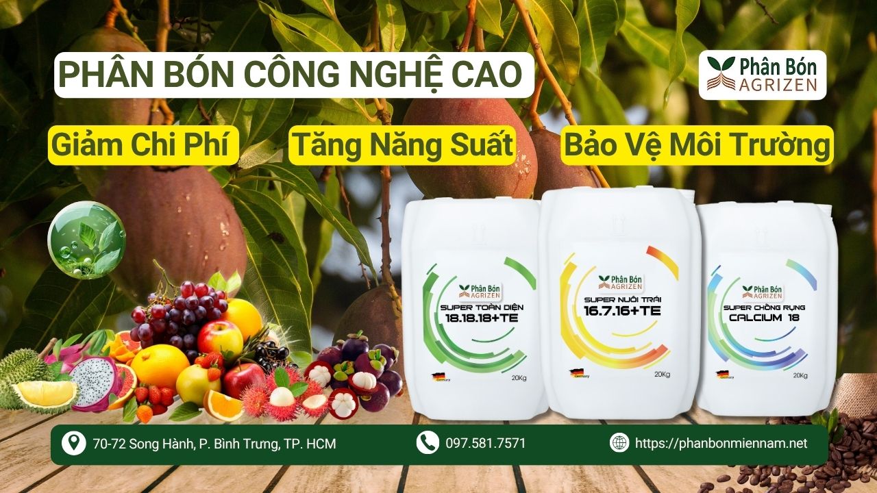 Phân Bón Công Nghệ Cao Agrizen – Giảm Chi Phí, Tăng Năng Suất, Bảo Vệ Môi Trường
