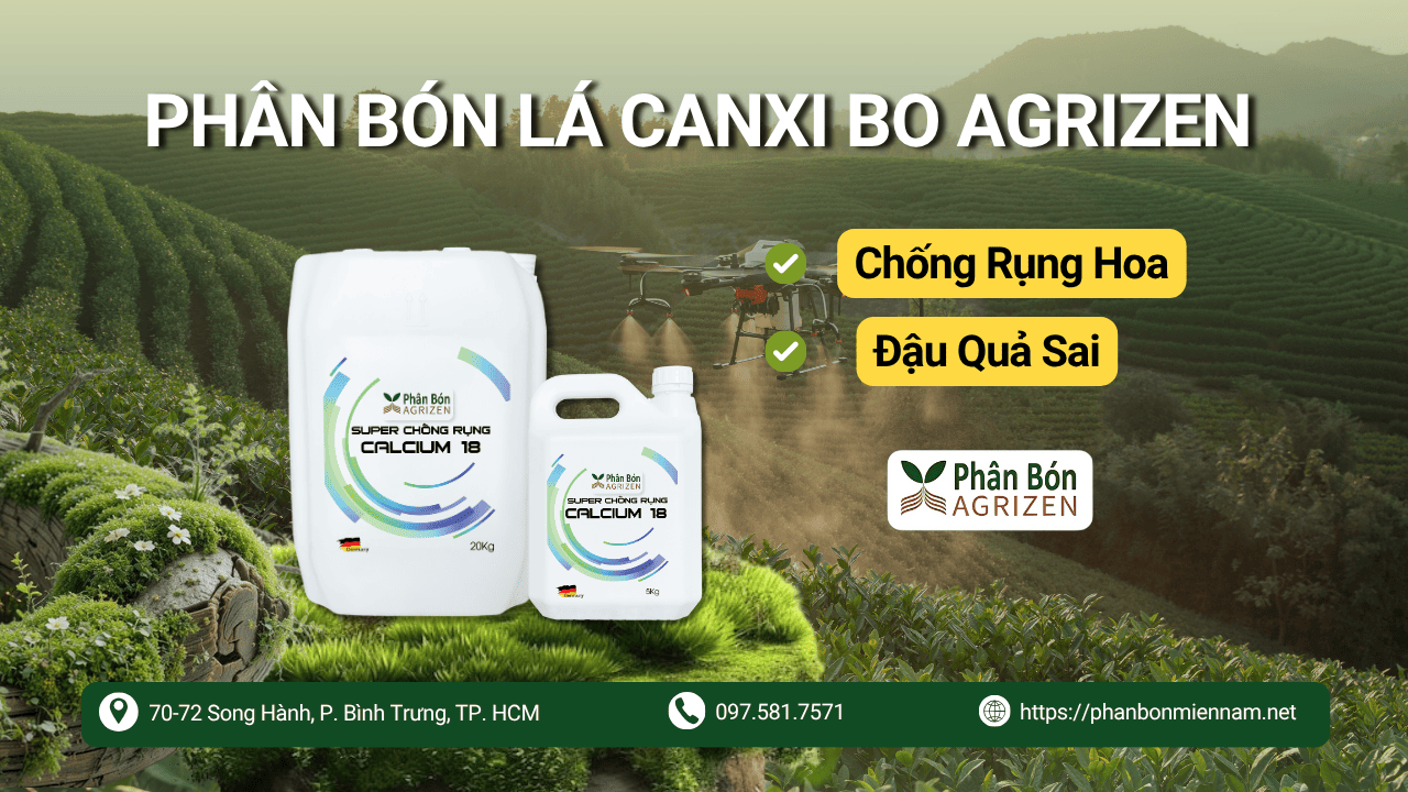 Phân Bón Lá Canxi Bo Agrizen – Chống Rụng Hoa, Đậu Quả Sai
