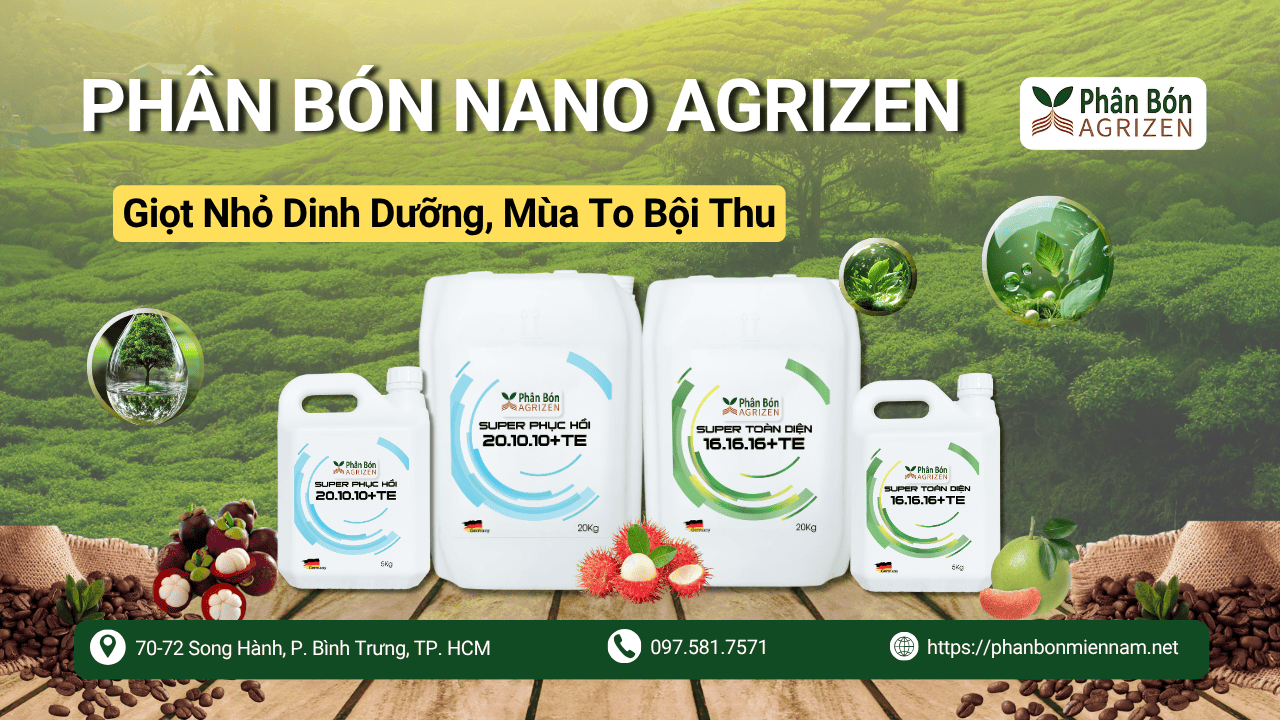 Phân Bón Nano Agrizen – Giọt Nhỏ Dinh Dưỡng, Mùa To Bội Thu