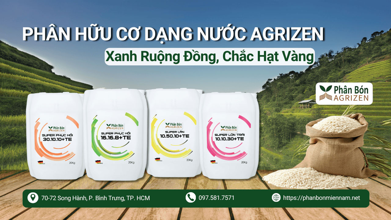 Phân Hữu Cơ Dạng Nước Agrizen – Xanh Ruộng Đồng, Chắc Hạt Vàng