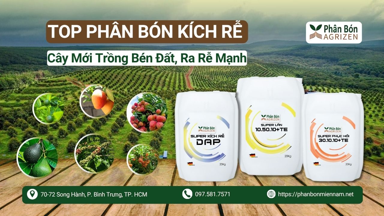 Top Phân Bón Kích Rễ – Giúp Cây Mới Trồng Bén Đất, Ra Rễ Mạnh