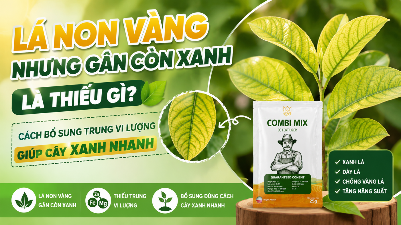 combimix