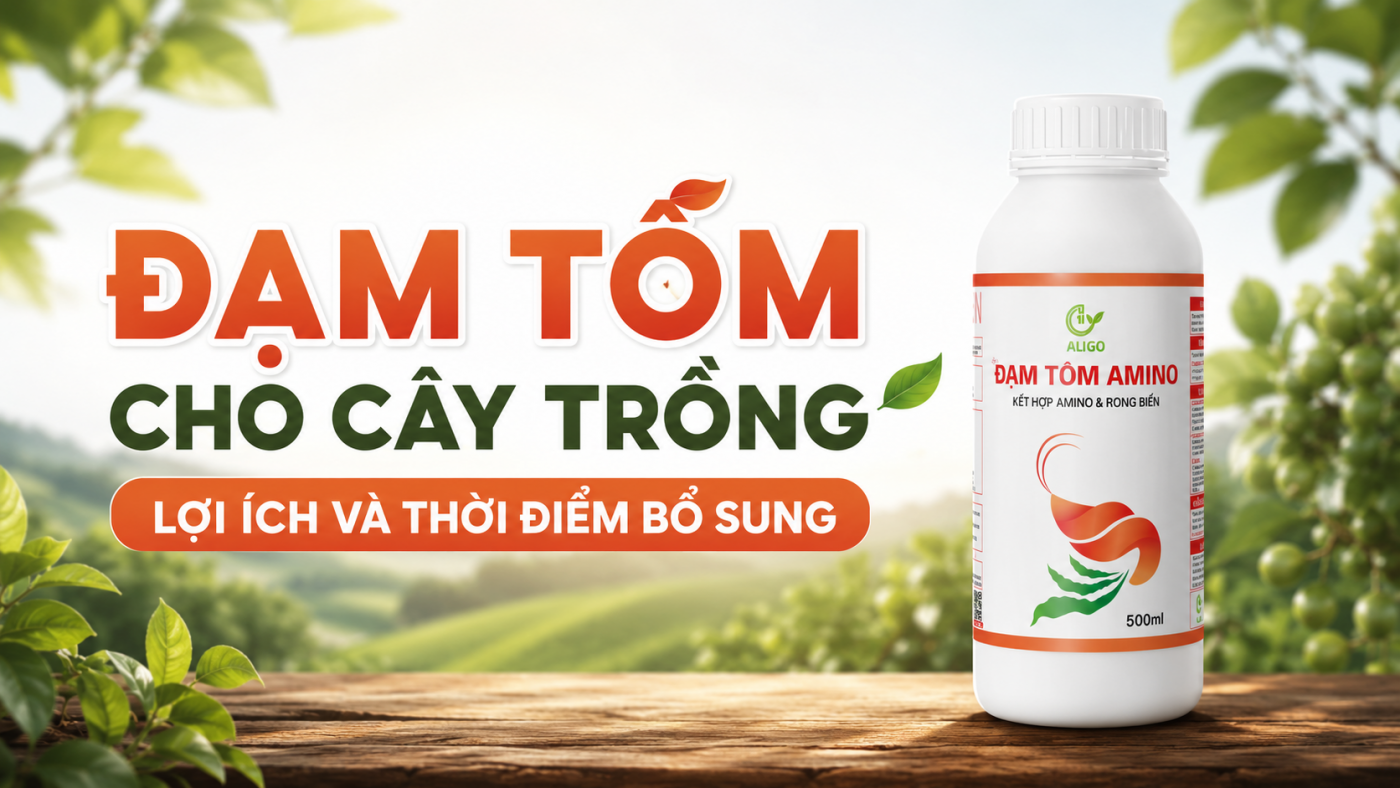 đạm tôm cho cây trồng