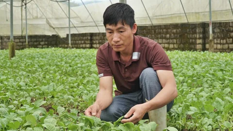 nỗi lo dịch bệnh hại mùa mưa