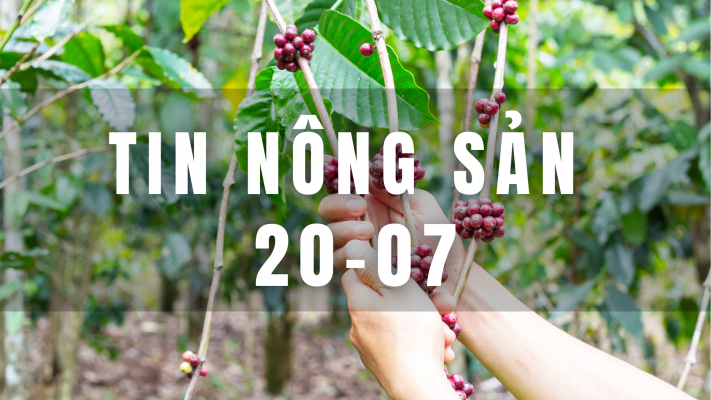 Tin nông sản 20-07