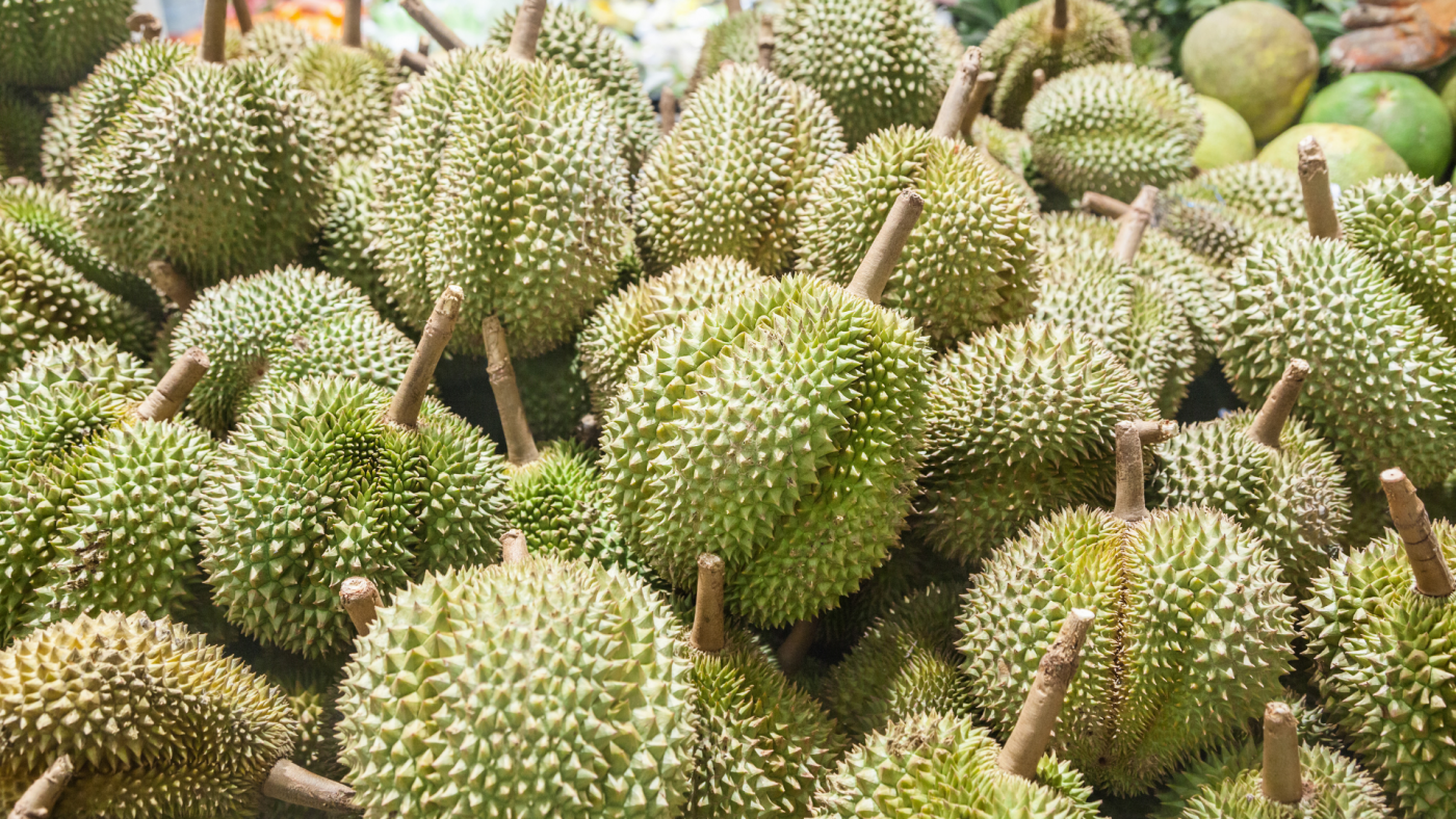 Quy định xuất khẩu sầu riêng