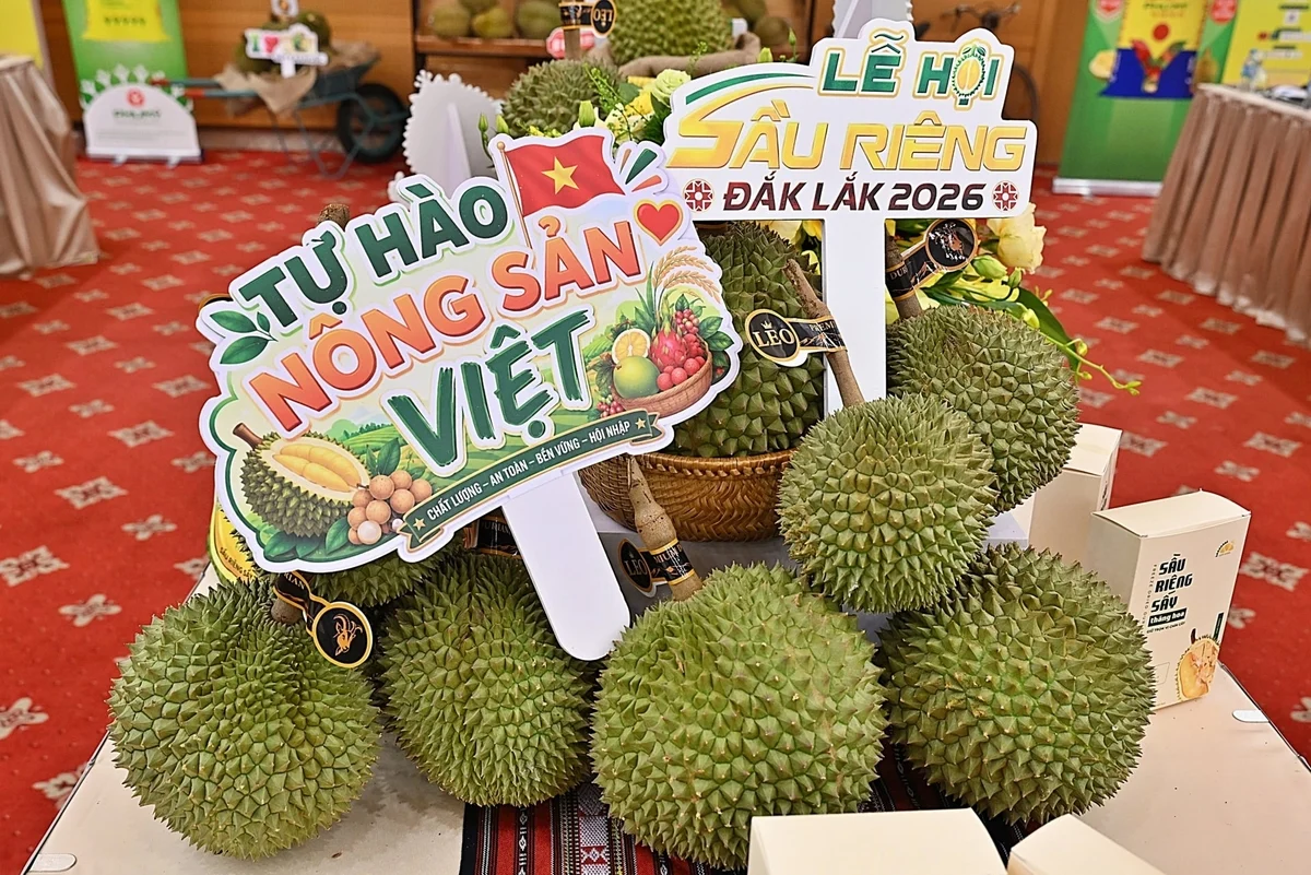 Sản phẩm sầu riêng được trưng bày tại sự kiện