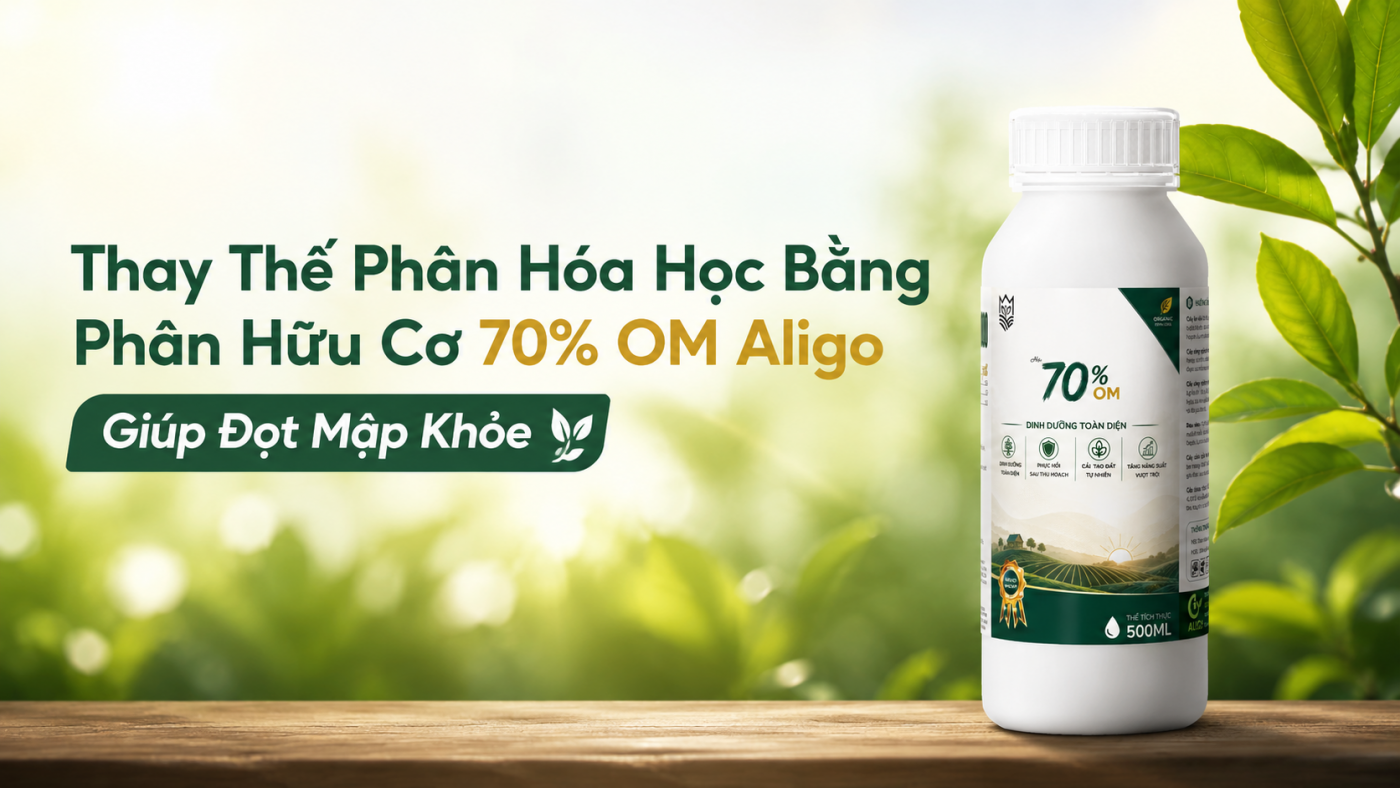 Thay thế phân bón hóa học