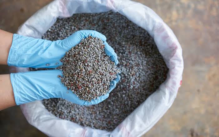Thiếu thừa phân bón trung lượng
