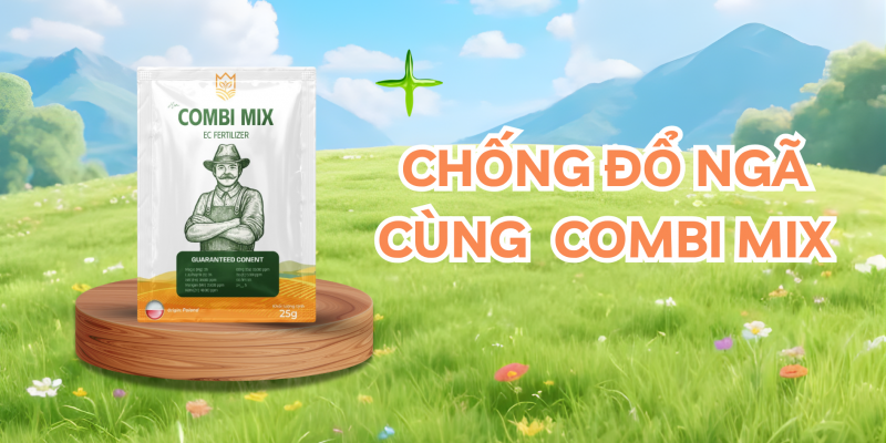 chống đổ ngã