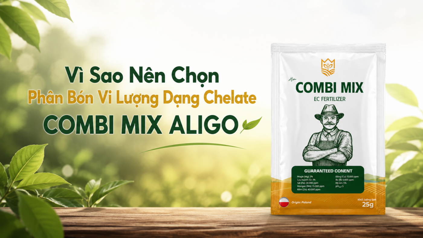 vì sao nên chọn phân bón vi lượng dạng chelate