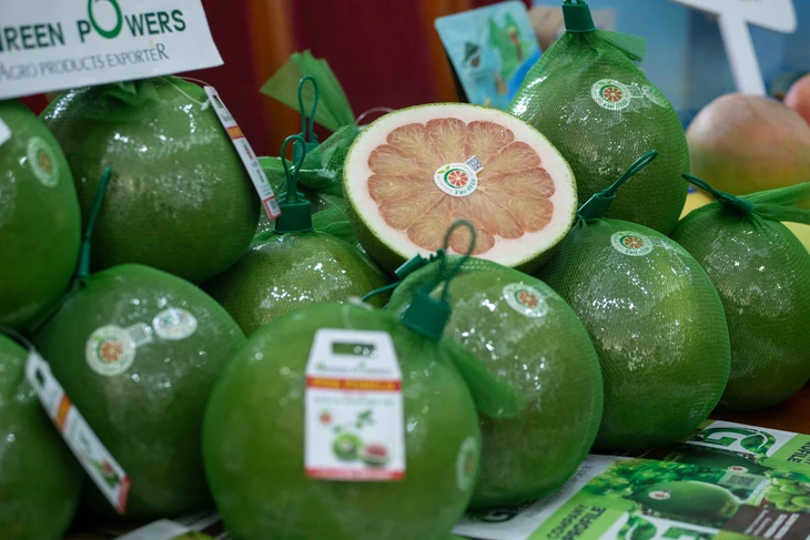 Xuất khẩu bưởi xanh bị đình chỉ sang Úc